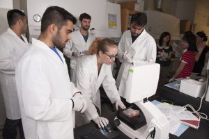 students in the ABE program in lab setting