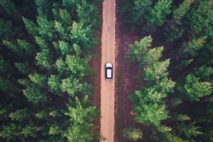 car driving through woods