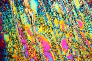 stock Crystals of water ice under the microscope