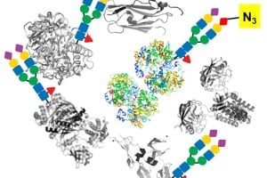 Scientific illustration of metabolic glycoengineering in pancreatic cancer, showing gray protein structures surrounding clusters of multicolored particles. Brightly colored geometric chains represent azido-tagged sugar analogs attaching to cancer cell glycoproteins, highlighting how engineered sugars label and enrich tumor-associated proteins and extracellular vesicles (EVs) for detection.